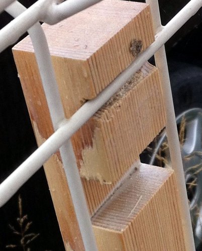 f:id:JunichiIto:20120612145318j:image:w200