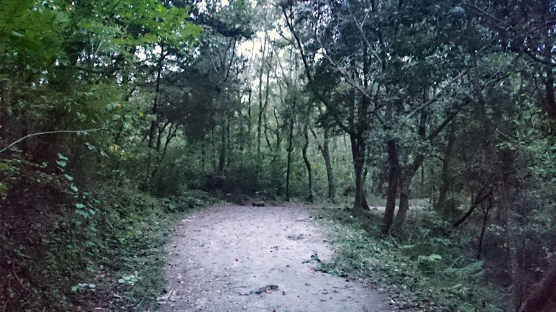 f:id:JunichiIto:20141008042504j:plain f:id:JunichiIto:20141008042504j:plain