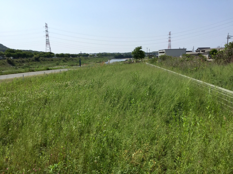 f:id:JunichiIto:20150510094940j:plain