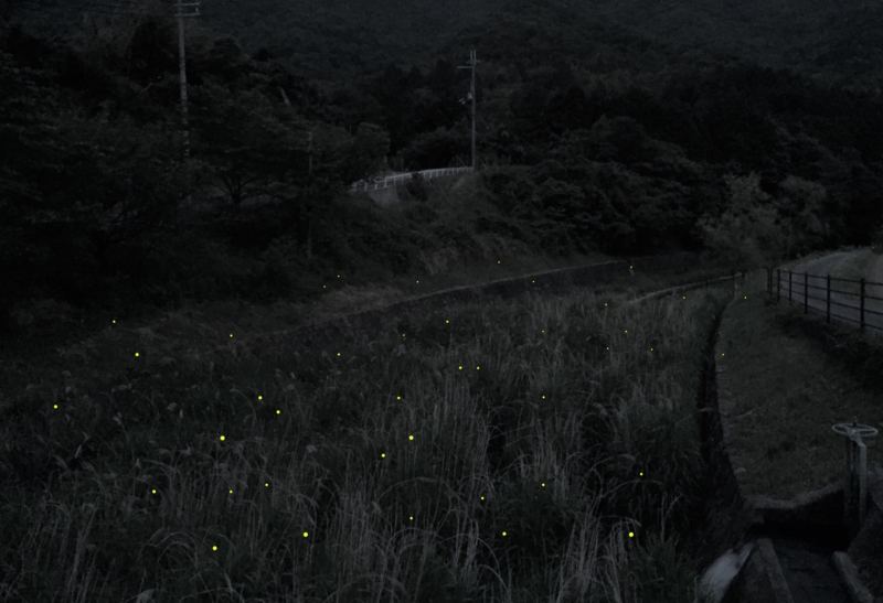 f:id:JunichiIto:20150525192421j:plain