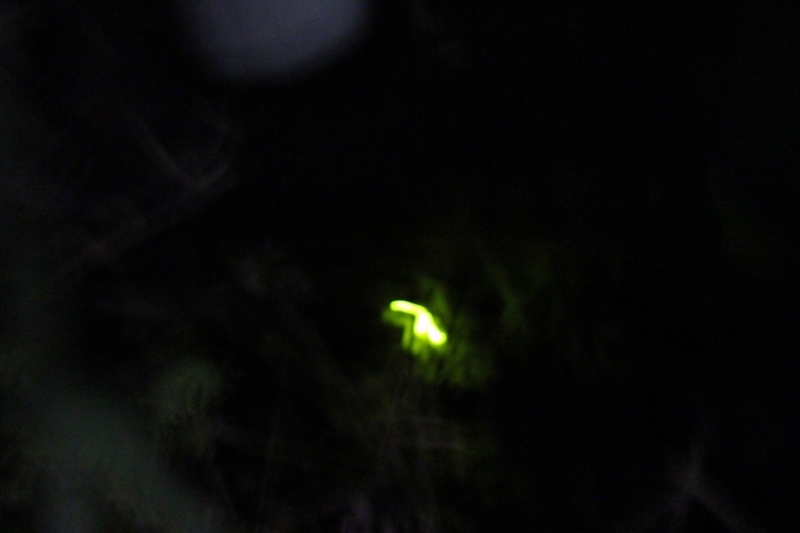 f:id:JunichiIto:20150525201532j:plain