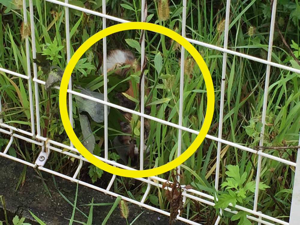 f:id:JunichiIto:20150909112231j:plain