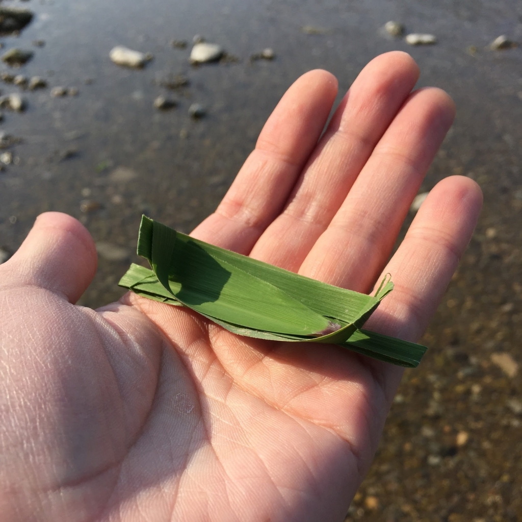 f:id:JunichiIto:20160523052204j:plain