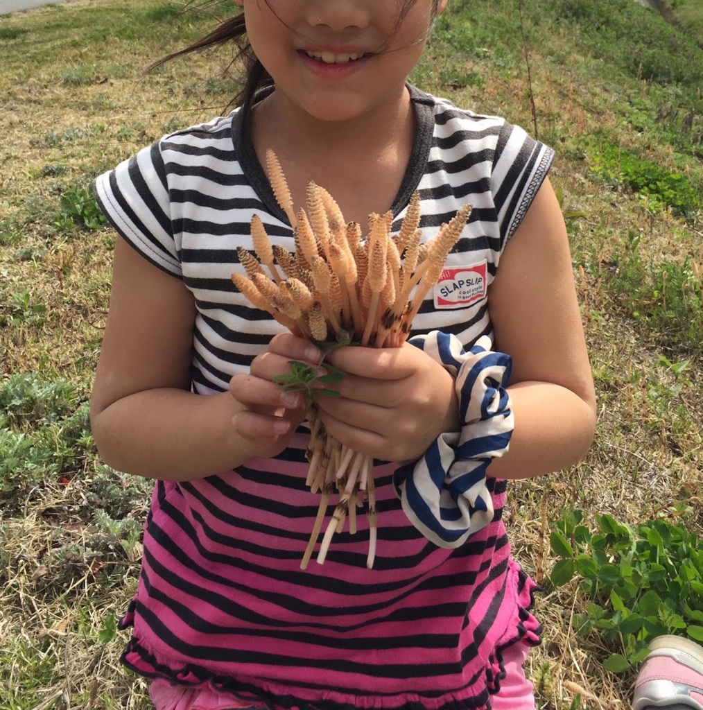 f:id:JunichiIto:20160523052817j:plain