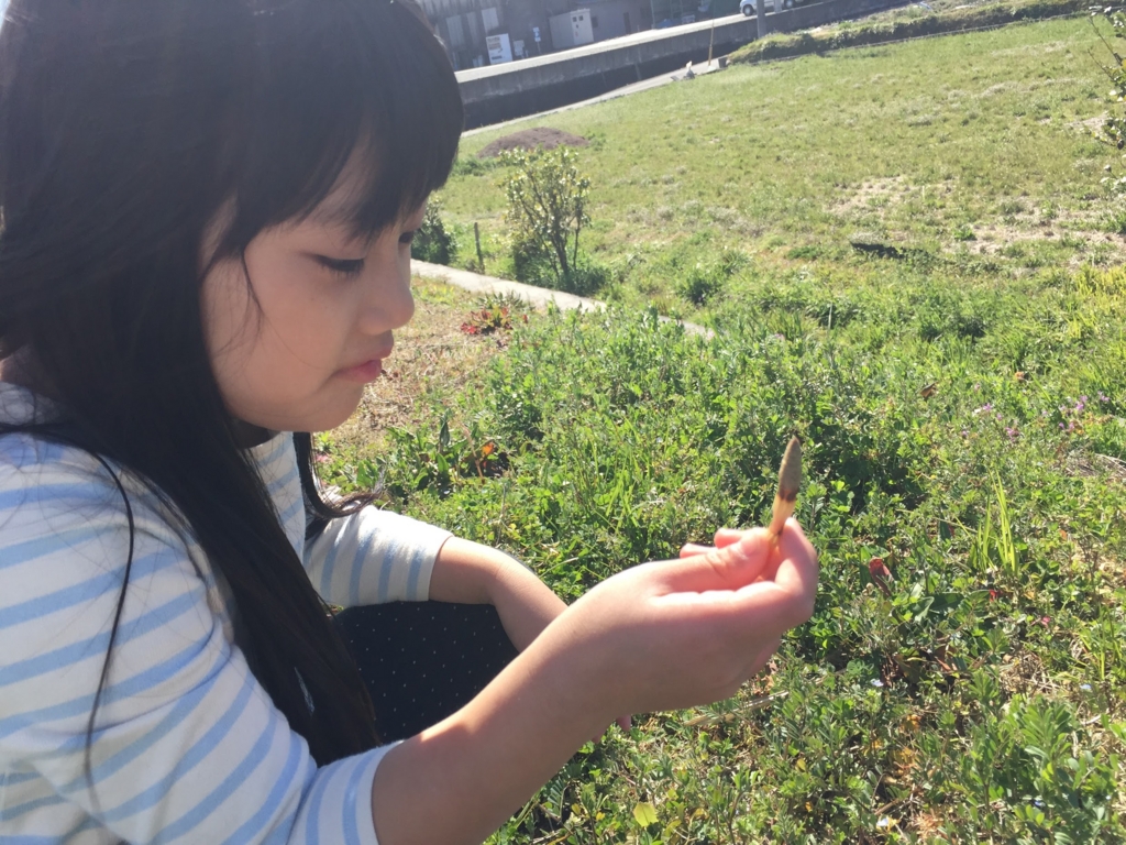 f:id:JunichiIto:20160523052852j:plain