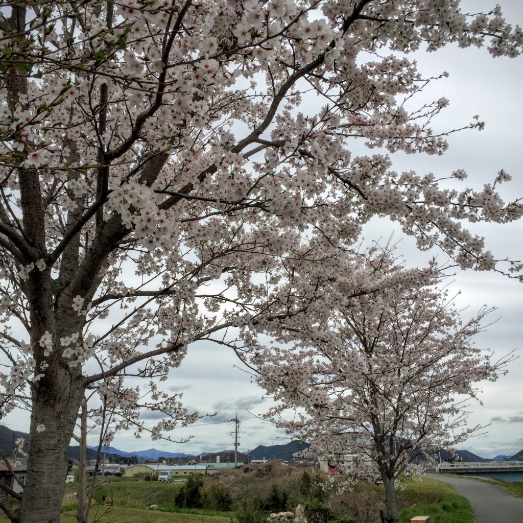 f:id:JunichiIto:20160523052956j:plain