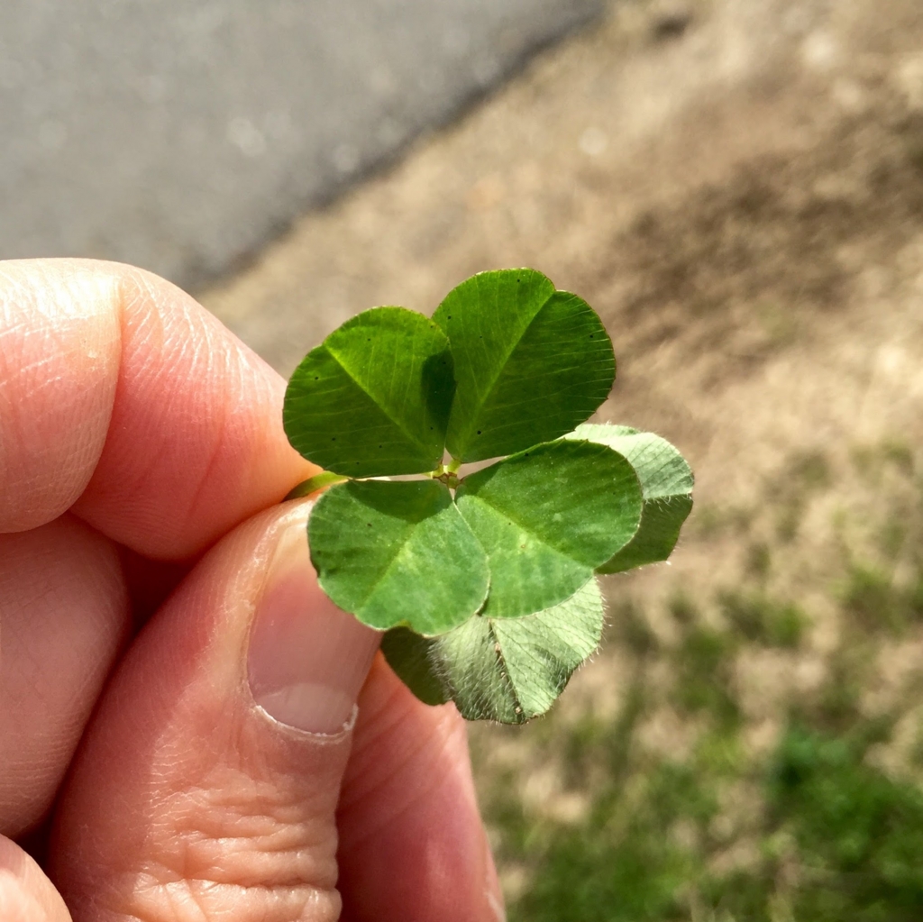 f:id:JunichiIto:20160523053653j:plain