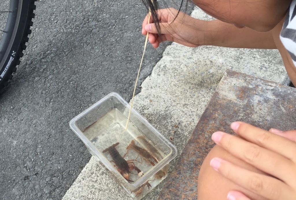 f:id:JunichiIto:20160831093701j:plain f:id:JunichiIto:20160831093701j:plain