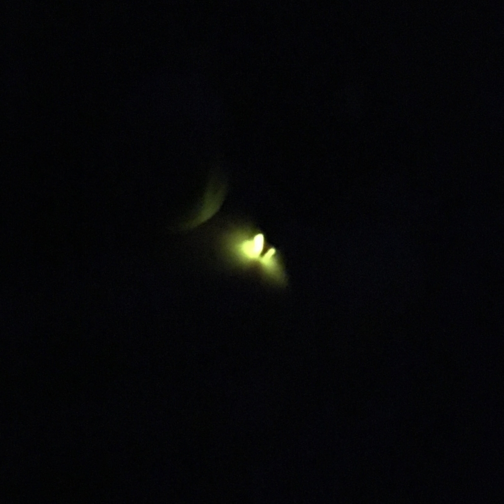 f:id:JunichiIto:20170531065838j:plain:w330