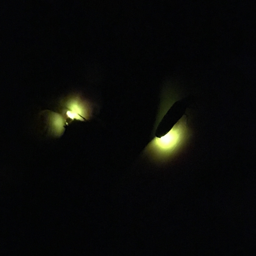 f:id:JunichiIto:20170531065900j:plain:w330