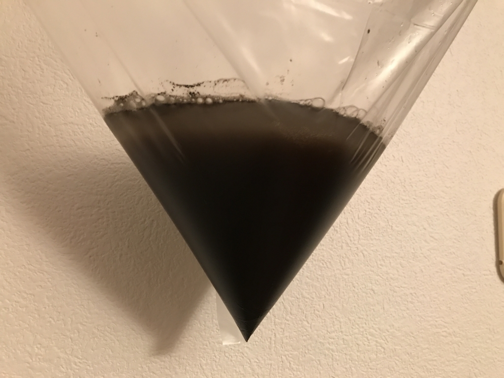 f:id:JunichiIto:20170731071521j:plain