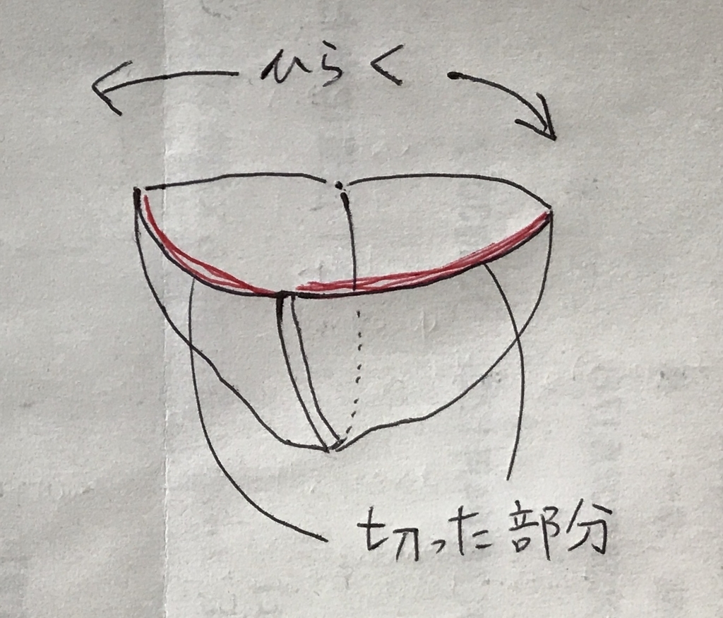 f:id:JunichiIto:20170731080737j:plain