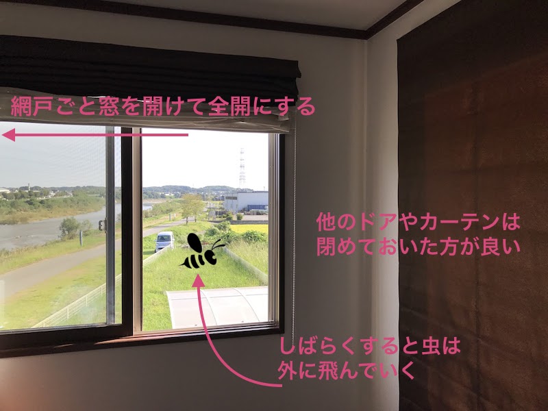 Tips 部屋の中にハチみたいなブンブン飛び回る虫が入ってきたら 一番明るい窓を全開にする Give It A Try