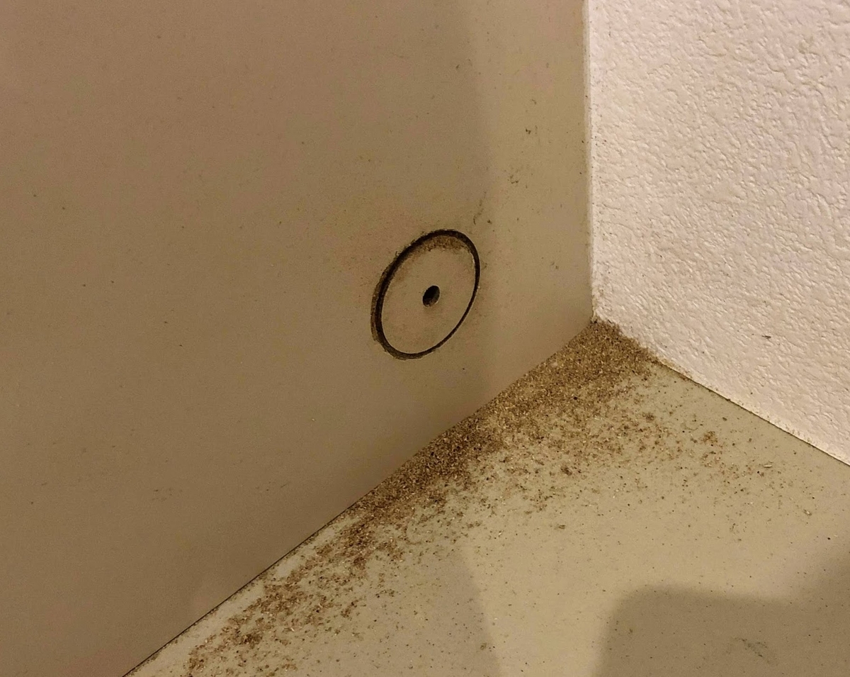 f:id:JunichiIto:20190820073254j:plain f:id:JunichiIto:20190820073254j:plain