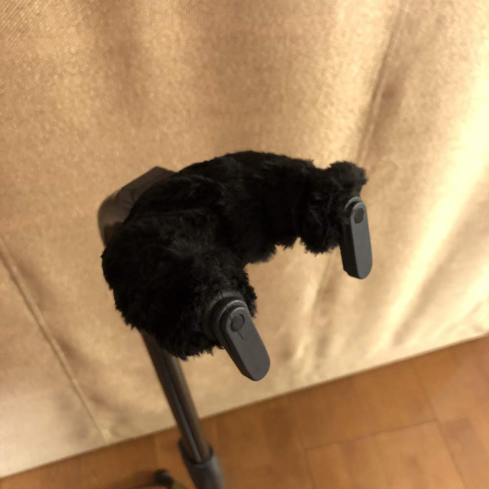f:id:JunichiIto:20200222192051j:plain