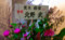 20090525191159