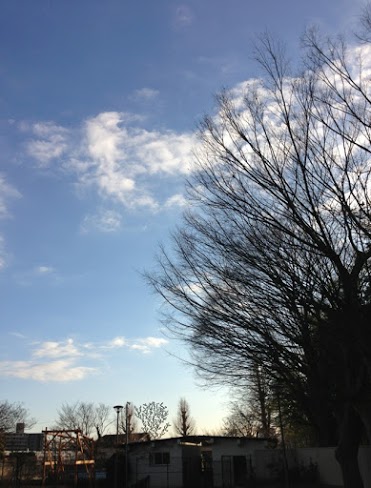 f:id:JyousenJii:20191201135853j:plain