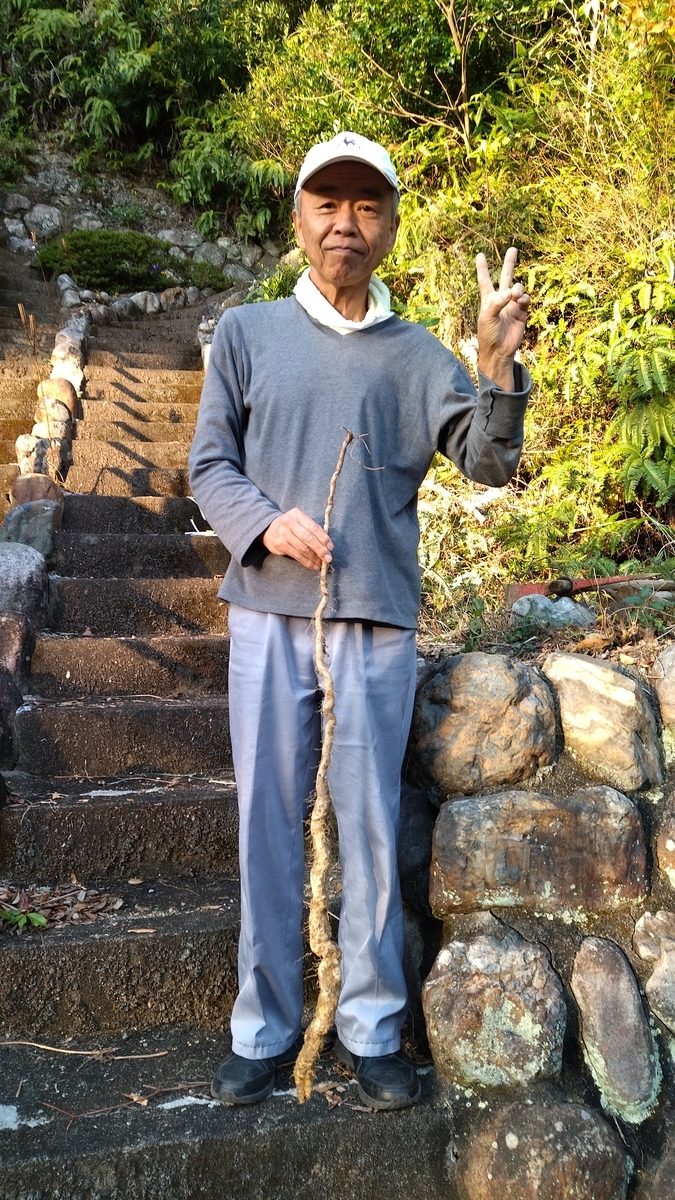 f:id:Jyuan:20220116125311j:plain