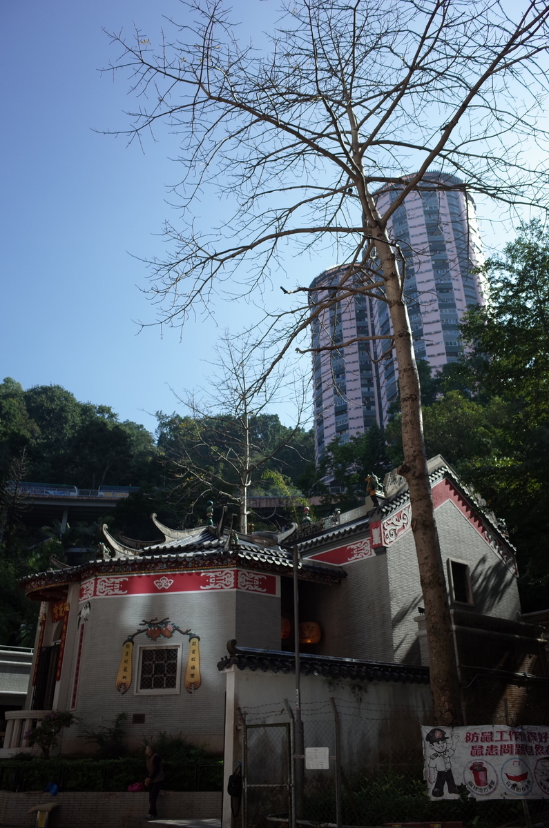 f:id:Jyujai:20190916001801j:plain