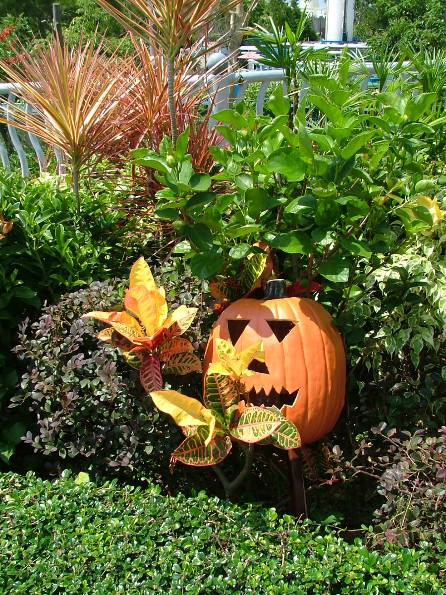 f:id:Jyujai:20191027232957j:plain