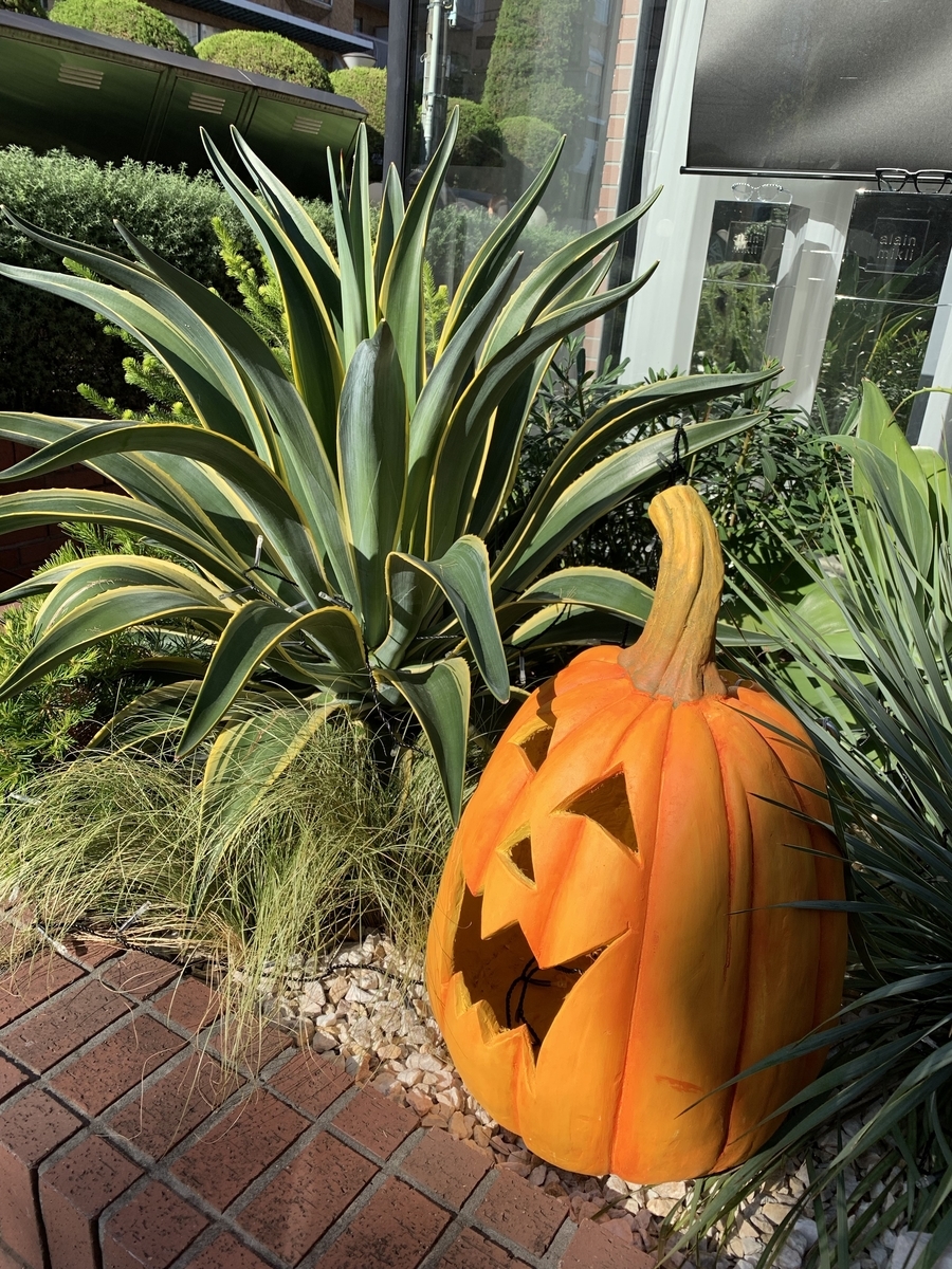 f:id:Jyujai:20191027233551j:plain