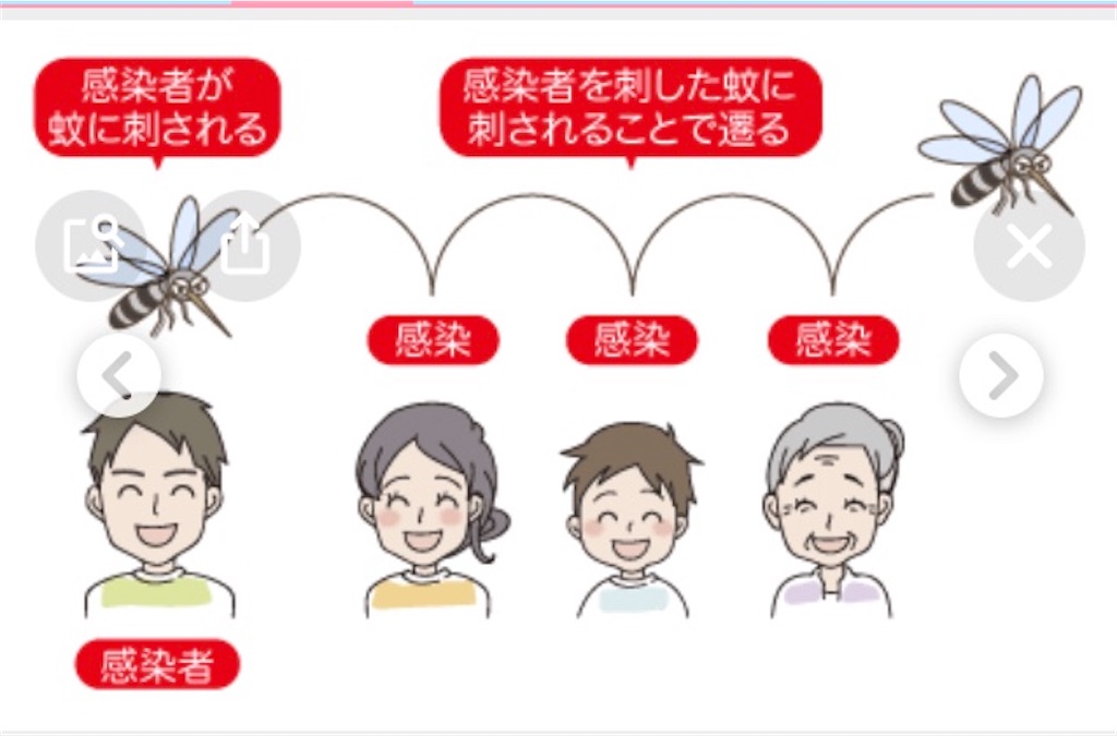 f:id:K-2021-10-22:20211221152751j:image