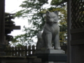 20100502160117