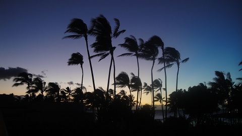 hawaii2.jpg