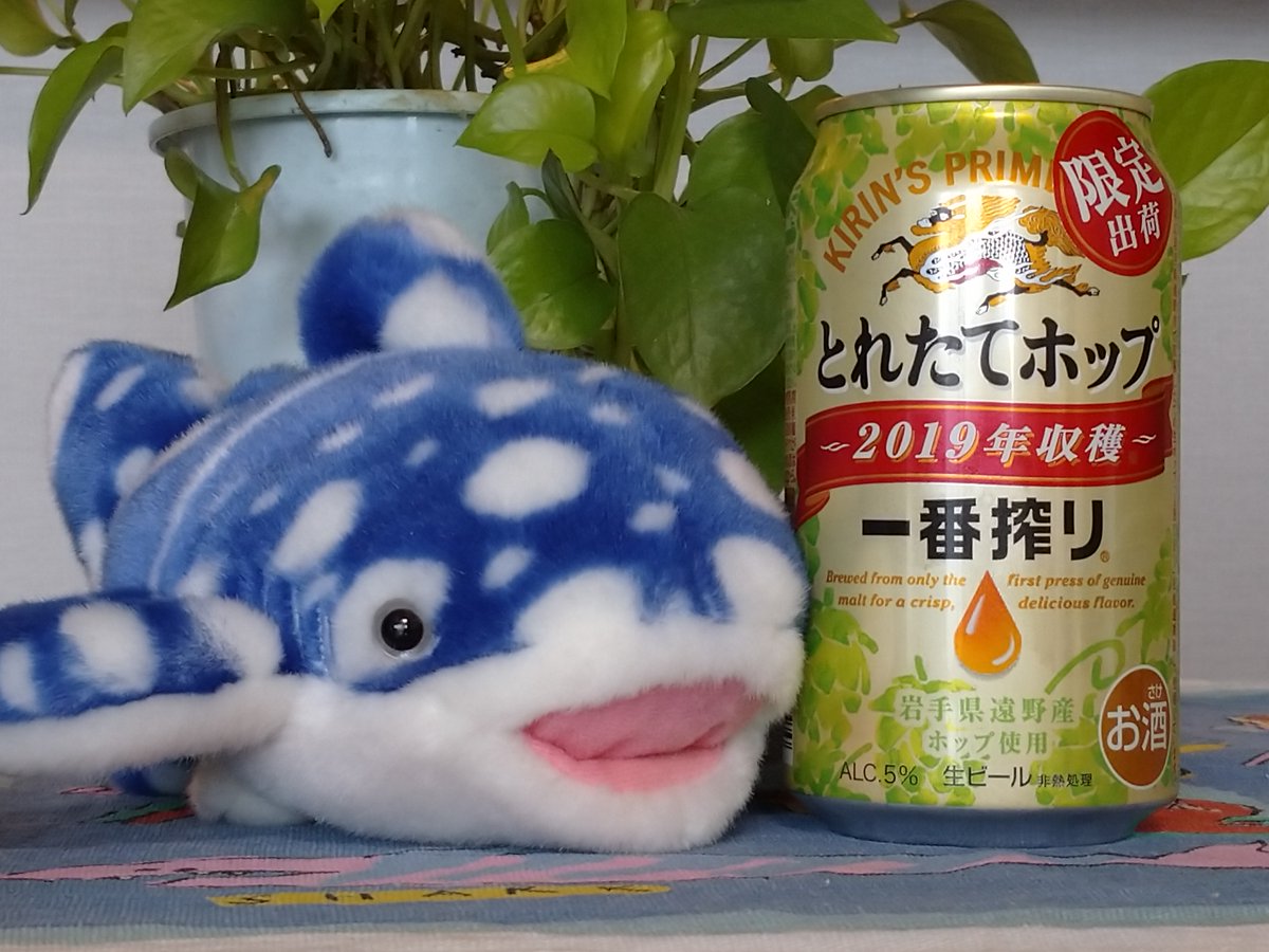 f:id:K-HAT:20191102162225j:plain
