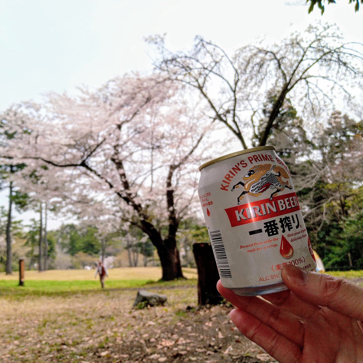 キリン 一番搾り - 芳しき危険な黄金色