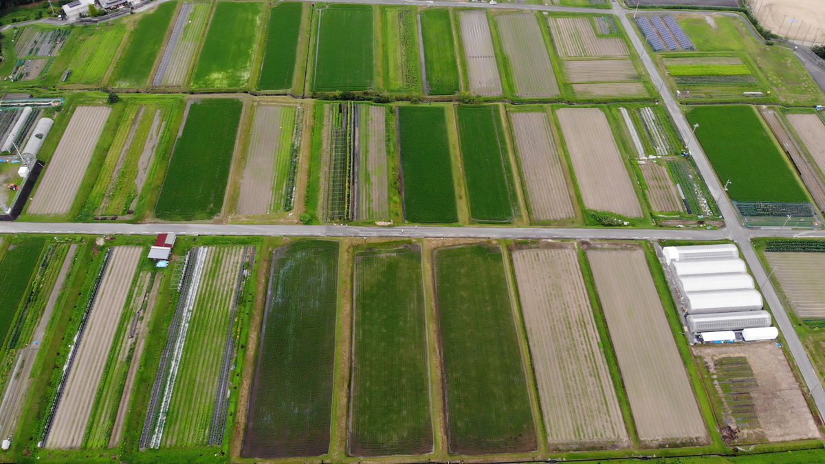 f:id:K-drone:20210719205333j:plain