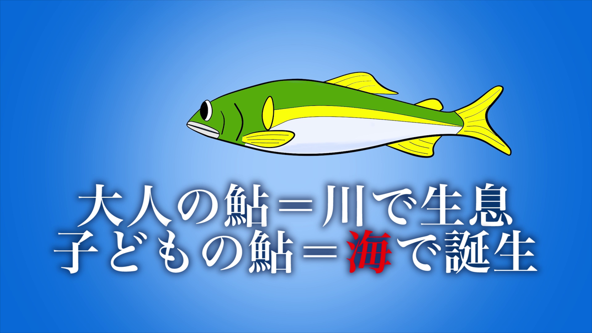 f:id:K-labo:20200605115107p:plain