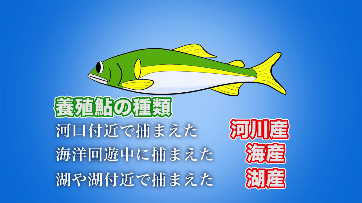f:id:K-labo:20200618144039p:plain