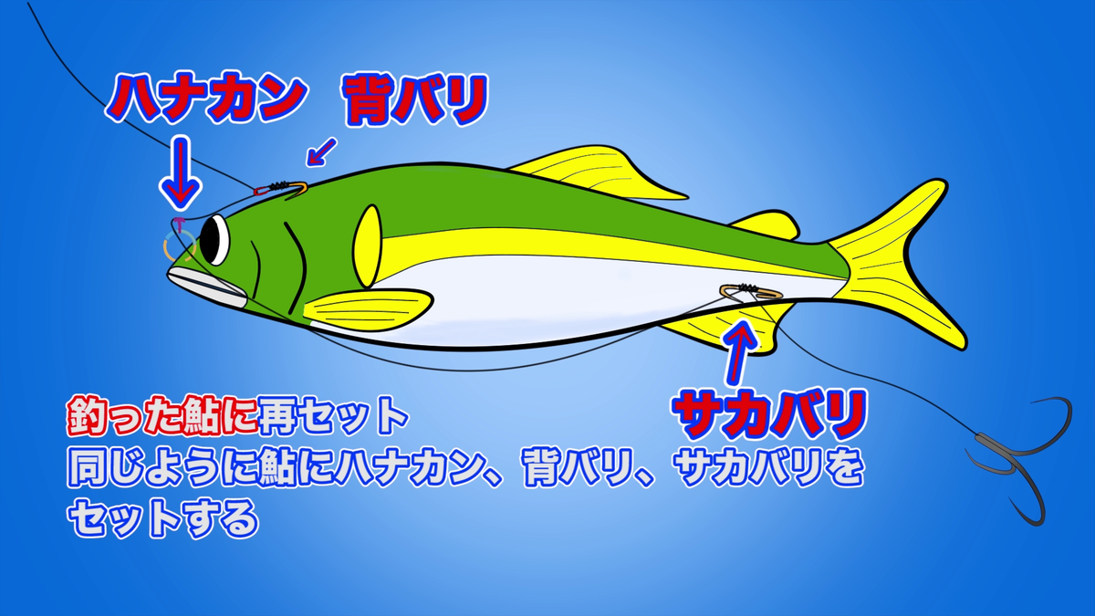 f:id:K-labo:20200622142316p:plain