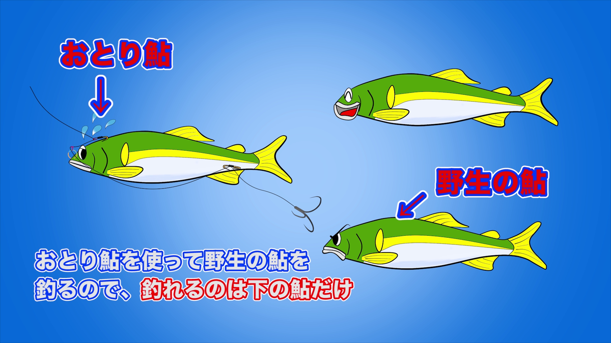 f:id:K-labo:20200622142330p:plain