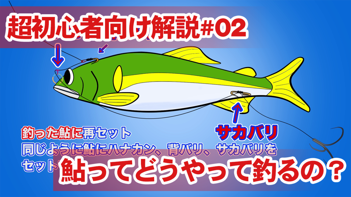 f:id:K-labo:20200625221015p:plain