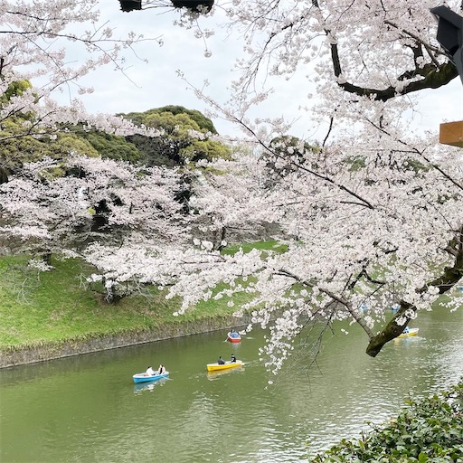 f:id:K-norita0426:20230330101857j:image f:id:K-norita0426:20230330101857j:image