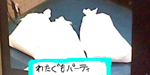 f:id:K00004649:20170928183812j:plain