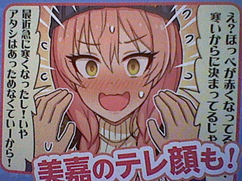 f:id:K00004649:20171113103643j:plain