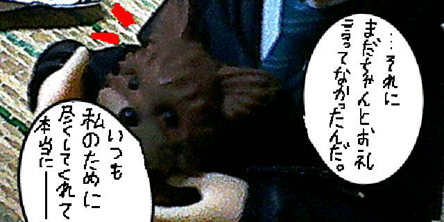 f:id:K00004649:20200513210939j:plain