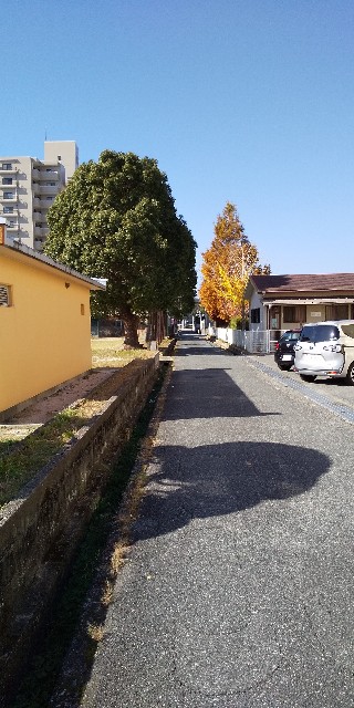 f:id:K00004649:20211119181845j:image f:id:K00004649:20211119181845j:image