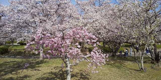 f:id:K00004649:20220402221444j:image