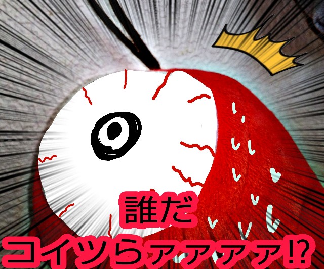 f:id:K00004649:20221017211304j:image f:id:K00004649:20221017211304j:image