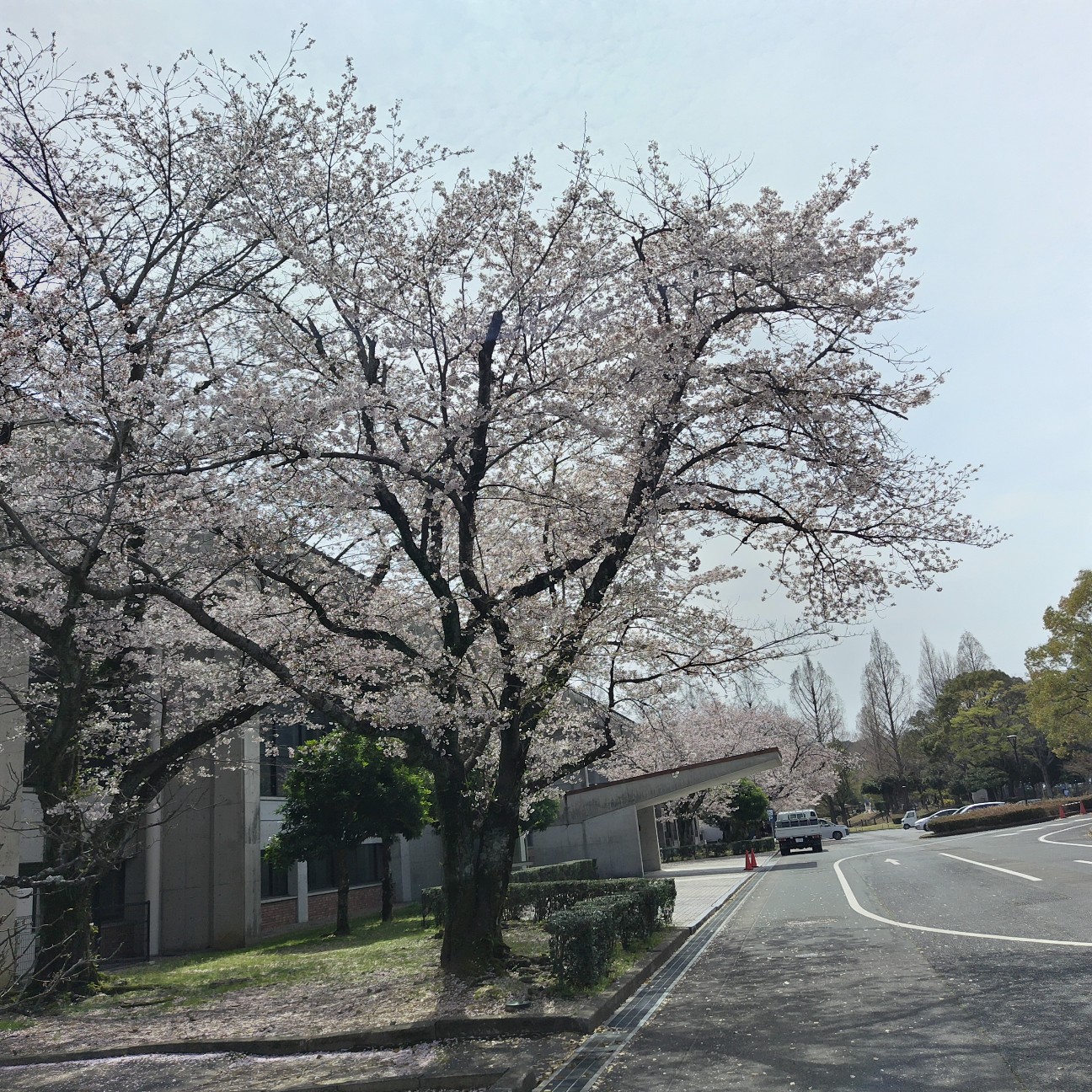 f:id:K00004649:20260403214554j:image