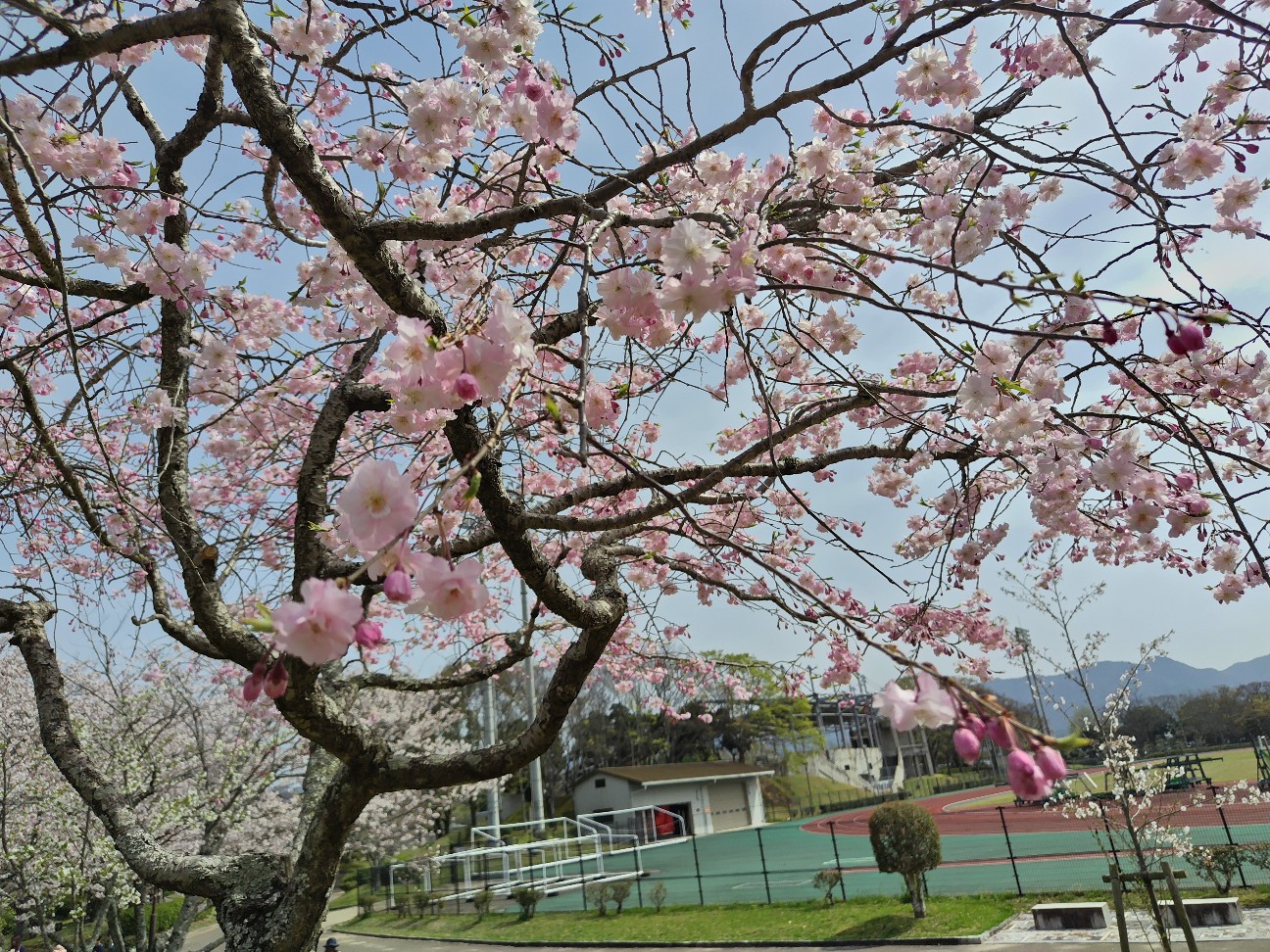 f:id:K00004649:20260403214558j:image