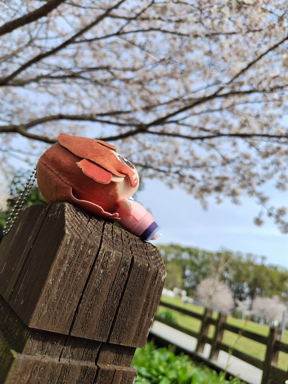 f:id:K00004649:20260403214720j:image