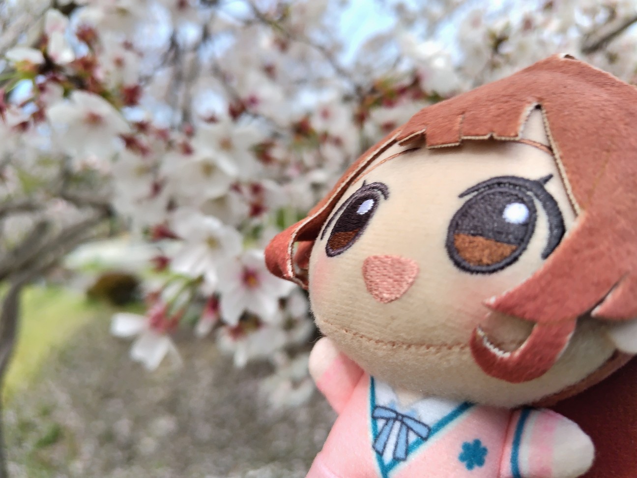 f:id:K00004649:20260403214724j:image