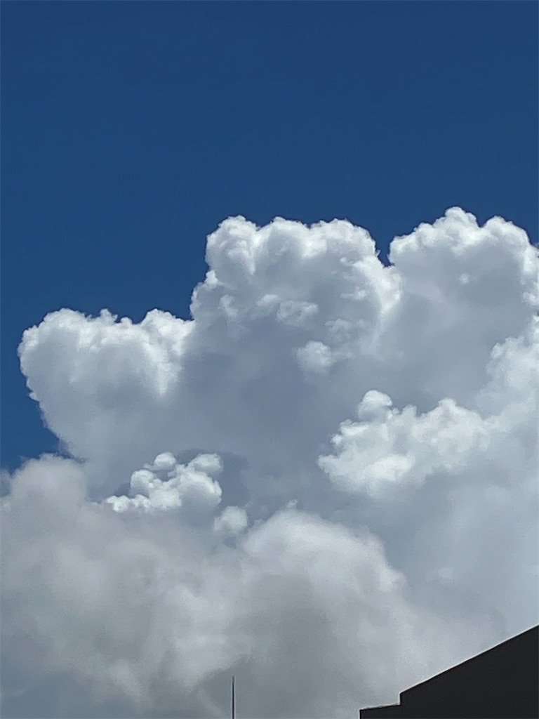 f:id:K050815revival:20230820123707j:image