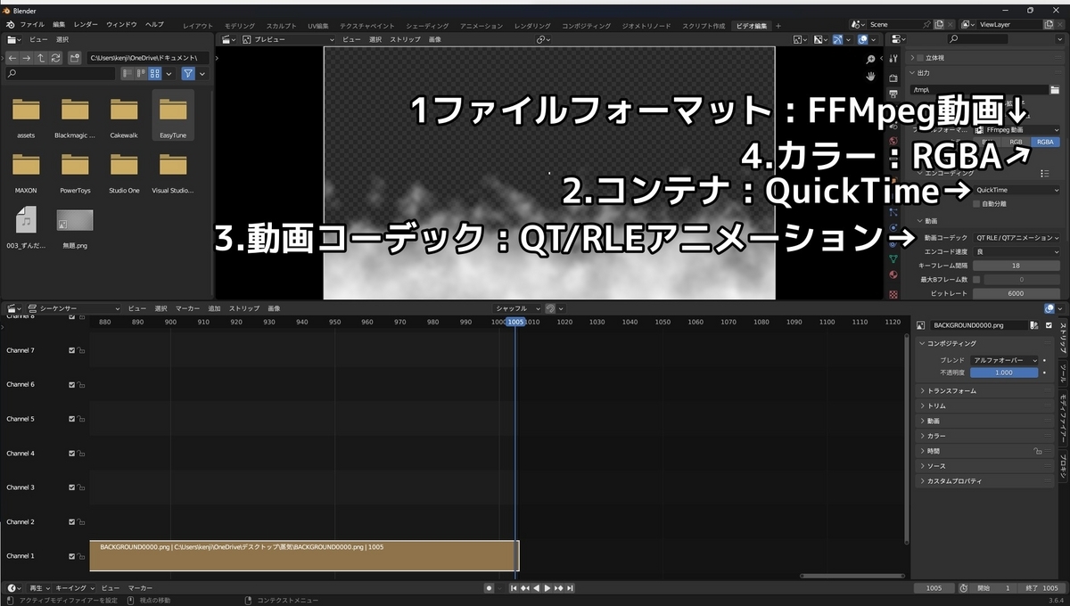 ファイルフォーマットをFFMpeg、コンテナをQuickTime 、動画コーデックをQT RLEアニメーションに変更し、カラーをRGBAに設定することを示した画像です