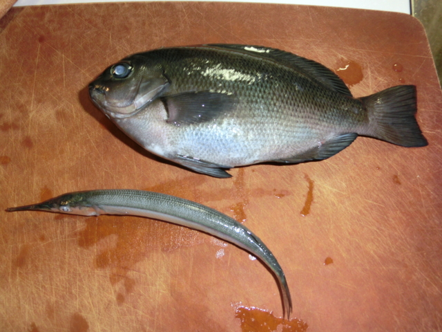 f:id:K46boy:20130819190631j:image:w360